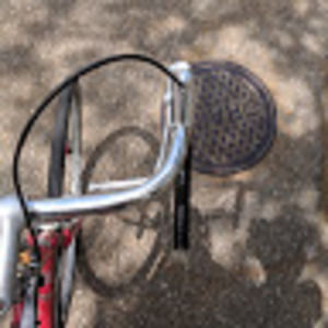 Meet your Posher, Alphonsus